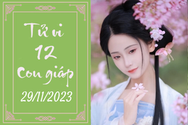 Tử vi vui 12 con giáp hôm nay ngày 29/11/2023: Tỵ chăm chỉ, Dần vương vấn