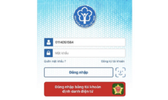 Hơn 1,75 triệu lượt đăng nhập ứng dụng VssID bằng tài khoản VNeID