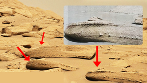 NASA phát hiện tảng đá giống xương khổng lồ trên sao Hỏa