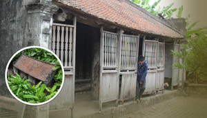 Số phận chìm nổi của ngôi nhà Bá Kiến và các đời chủ nhân