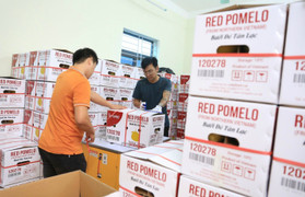 Tỉnh Hòa Bình tăng cường mở rộng khả năng tiếp cận vốn cho các doanh nghiệp