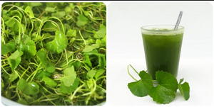 Rau má có tác dụng gì với sức khỏe?