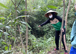 Bé 2 tuổi được tìm thấy sau 3 ngày: Sẽ làm rõ nguyên nhân mất tích