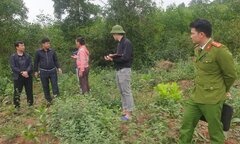 Bé trai 2 tuổi ở Nghệ An được tìm thấy sau 3 ngày mất tích: Thông tin mới nhất