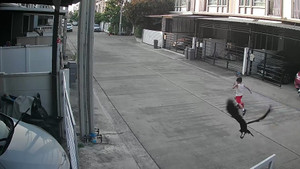 Con quạ giận dữ tấn công cậu bé đang chơi trong khu dân cư