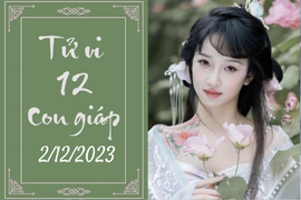 Tử vi vui 12 con giáp hôm nay ngày 2/12/2023: Tuất vui vẻ, Tỵ bận tâm chuyện cũ