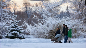 Nghị sỹ Nga đề xuất đánh thuế người không có con