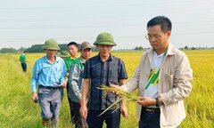 Nông sản được giá, doanh nghiệp phân bón nỗ lực đảm bảo nguồn cung chất lượng