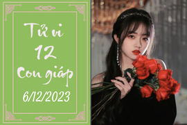 Tử vi vui 12 con giáp hôm nay ngày 6/12/2023: Thìn bất ngờ, Tỵ lo lắng 