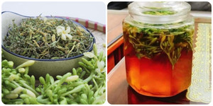 Hoa đu đủ đực ngâm mật ong có tác dụng gì?