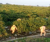 Hàng trăm cảnh sát vây rừng bần truy bắt 2 phạm nhân trốn trại ở Hà Tĩnh