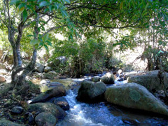 Bật mí những con suối đẹp ở Đà Lạt