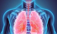 Những loại thực phẩm tốt cho phổi bạn nên biết