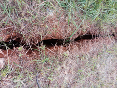 Cận cảnh vết nứt dài gần 50m, sâu 2,5m tại trạm khí tượng ở Quảng Nam