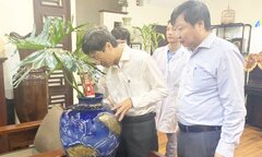 Hà Nội xuất hiện nhiều ổ dịch sốt xuất huyết: Bộ Y tế chỉ đạo khẩn