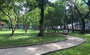 Tỷ lệ đất cây xanh công cộng tại TP.HCM không bằng 1/3 Hà Nội