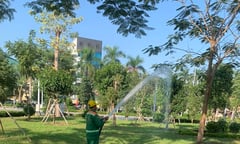 Hải Phòng sở hữu hệ thống dải cây xanh trung tâm thành phố dài bậc nhất cả nước