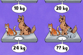 Đố bạn biết 3 con vật này nặng bao nhiêu kg?