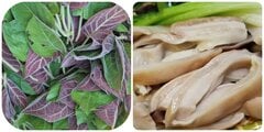Tác dụng của lá mơ lông với dạ dày 