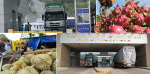 Điểm sáng trong quan hệ thương mại, đầu tư Việt Nam - Trung Quốc