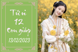 Tử vi vui 12 con giáp hôm nay ngày 13/12/2023: Tuất dễ mến, Mão tập trung