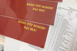Làm sao để phân biệt bằng đại học giả và bằng đại học thật?