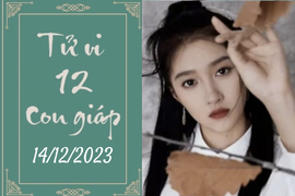 Tử vi vui 12 con giáp hôm nay ngày 14/12/2023: Thân cố gắng, Dần xứng đáng