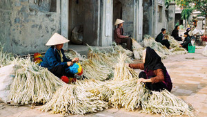 Nón lá làng Chuông gìn giữ hồn quê Việt Nam