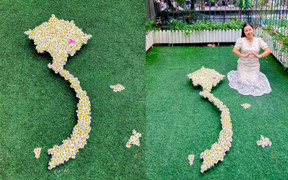 Cô giáo Hà Nội làm bản đồ Việt Nam bằng cúc họa mi gây sốt mạng