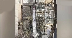 Bỏ 340 triệu đồng mua 'quái vật' khổng lồ để trong vườn, hàng xóm mất ngủ vì sợ
