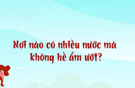 Nơi nào nhiều nước mà không hề ẩm ướt?