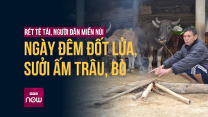 Rét tê tái, người dân miền núi ngày đêm đốt lửa sưởi ấm trâu, bò