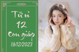 Tử vi vui 12 con giáp hôm nay ngày 19/12/2023: Thìn cẩn thận, Dần quyết đoán