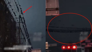 Hiện tượng lạ lùng trước khi xảy ra động đất làm chết 118 người ở Trung Quốc