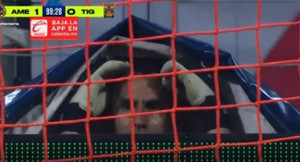 Bị đuổi khỏi sân, thủ môn 'ảo thuật gia' ngụy trang xem đội nhà thua trận