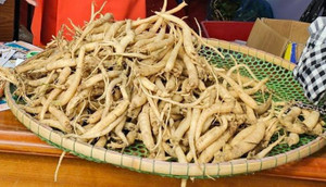 Truy xuất nguồn gốc góp phần phát triển ngành dược liệu quốc gia