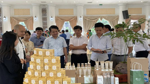 Phát triển dược liệu gắn với du lịch sinh thái