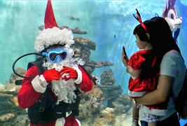 Du khách thích thú xem ông già Noel, người tuyết nhảy múa cùng cá biển