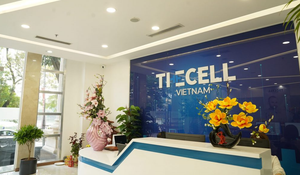 Đình chỉ hoạt động cơ sở Thẩm mỹ The Cell Việt Nam tại TP.HCM 
