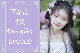 Tử vi vui 12 con giáp hôm nay ngày 20/12/2023: Ngọ kiên trì, Sửu đúng đắn