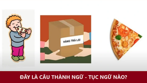 Bức hình này nhắc đến câu thành ngữ nào?