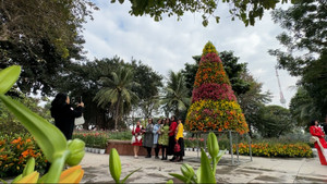 Cây thông Noel làm từ 2.000 cành hoa ly ở Hà Nội