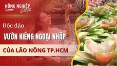 Nông nghiệp đô thị: Độc đáo vườn kiểng ngoại nhập của 'lão nông' trong thành phố