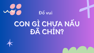 Con gì chưa nấu đã chín?