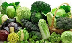 5 loại thực phẩm dễ tìm, giúp bạn chống lão hóa