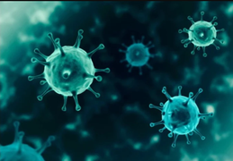 Bộ Y tế thông tin về biến thể JN.1 của virus SARS-CoV-2 gia tăng nhanh