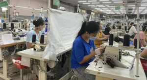 Cần xử lý triệt để tình trạng doanh nghiệp chậm, trốn đóng BHXH