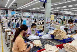 Làm gì để ngăn chặn tình trạng doanh nghiệp nợ BHXH?