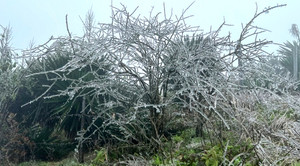 Mẫu Sơn xuống âm 2,2 độ C, đêm nay miền Bắc rét nhất đợt này