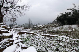 Dự báo thời tiết 10 ngày từ đêm 23/12 đến Tết Dương lịch 2024